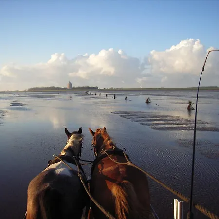 Residenz Oasis Apartment Cuxhaven