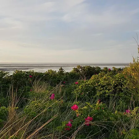 Apartamento Residenz Oasis Cuxhaven
